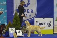 4521926357136d85395409280489283d_245