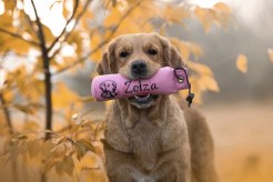 45c038e12cd34d72f1cd7b5780ffb480_246