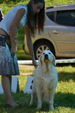 46354129dc16c099cdf9aa2074d7ac15_244x366_fill