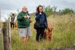 466d530bb6dca29721e2111392d191a9_245