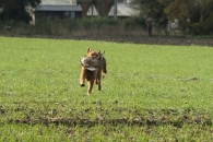 46c33a5d7469c678999d91238f1bfc7b_195