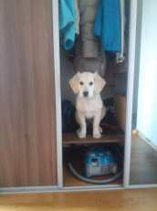 475e2c7cbbf8e77881b71431354fa4fa_172x231