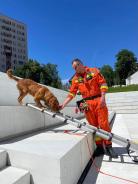 476424b190e802810175299f8f86eb03_138x184_fill