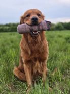 4787062df23c6b84f6d220aa493c44ab_138x184_fill