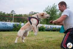 47bbcee343be70ff79de02361cd60d54_243