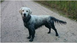 486c0c2569e20fe5ed5f1a337169ae85_266