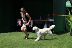 4880c942f63652a128854fb395e56488_246