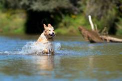 4883875a443576e78264f08c8dce59f8_245