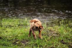 48c3a7cf86b7eac4fd82ca5515759a99_246x164_fill