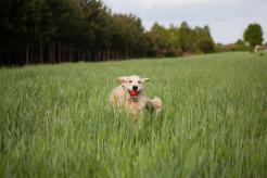 48cafc1b766816eb589479c9dde1d6b9_246x164_fill