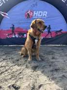 48fbab8f208f54c1922029bc68257ab4_138x184_fill