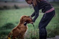 491bf717d16796faa9814169a6946707_246