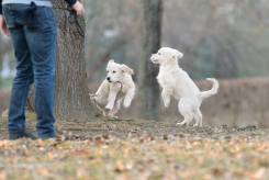 491f59f7487d8ab9f72065b14adaaf5a_245