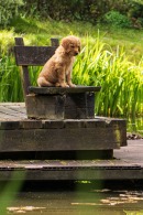 49241ac90d9724657b844481b5ddd2a1_130x195