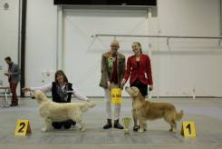 4924cadf634adb8bbd2c5bf31b93ce38_245