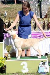 4939faaa600066eb6d7636a58bfc3958_164x246_fill