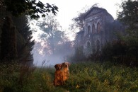 493e32b3fd11a7f45c9661dd553d4811_195