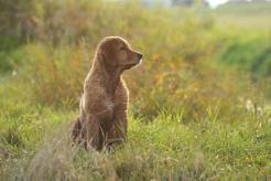 4956fc6545a7d37e58780bbf28924645_246x164_fill