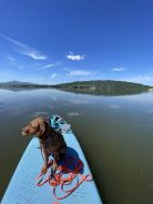 495e4b81f635c2cfbf7c6c43da1b6fa8_138x184_fill