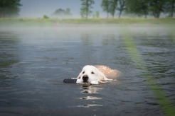 49801835e7cd5273776cfdd848d06858_246