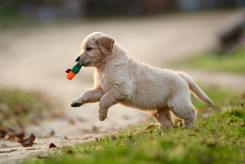 49a1817bd02a1b936fd57e7447e39e59_245