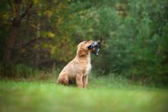 4a0611e580def615c075ab084a589f2e_245