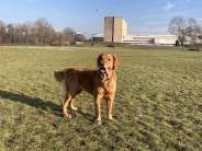 4a148e21581a96af2e903c15f10beae8_184x138_fill