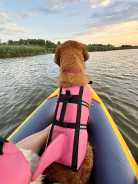 4a3e02dddca8daabc9f714b6c12bdb20_138x184_fill