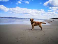 4a7bf703565a24be1cfd2261beb10423_229