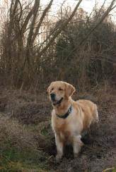 4a8b24b69bd82a02cdc4783e45fa6efa_164x244