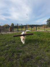 4aabc97a5e41dc0818704229df39e61c_174x232_fill