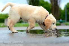 4ab3893737960308f425342fc5f08d1d_245