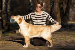 4b30b1ce23ff54fd9057f05839ee327e_245