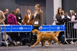 4b32964bcb96bcbfc8b7ee02ccc850ad_246