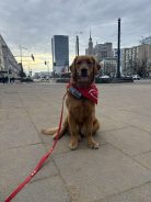 4b8c280c098b4af4766b22171a1d987a_138x184_fill