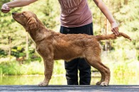 4ba168acd8ea784c360dfbca738f7974_195