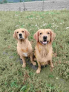 4bd4a4ab7b69fa716cbd2b82dd6e4399_138x184_fill