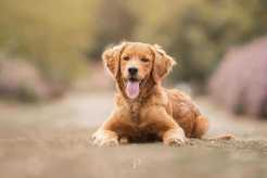 4be185aca29980a7b4ff513bdb155e9d_246