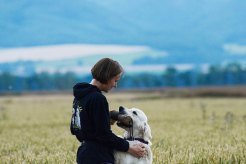 4bf9381774a5b19368d40046a72efff6_246