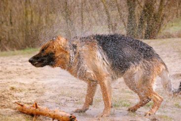 4c65ffcf305067ed1aaed9815b406e01_367