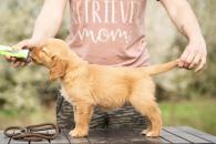 4c96023ccd26cc6606a0153eee6a232d_195x130_fill