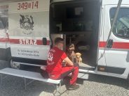 4cefe3dce1d95fbf912c3bac4de6a656_184x138_fill