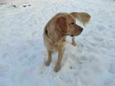 4d128ec0888cf9f2cdcec7fabd20dc5a_229