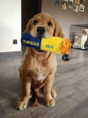 4d1632d4133b3774278ec9277412aa63_172x230