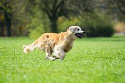 4d177aed2fddb429ee1d5941f3a5af81_246