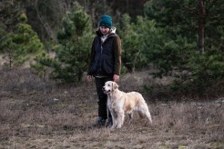 4d53a1fba262adb2677ea2404865d79d_246