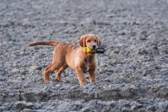 4d5cb904974fddc9148320f966fa436a_246x164_fill