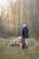 4d7c2d36c483d845f5f04e6f20a5ac6c_130x195