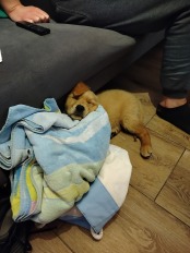 4d7cb03cd6b69ac0a737a8e0c1587dfe_174x232_fill