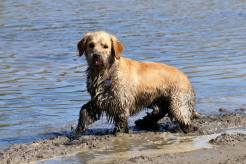 4e1177d7381f9c70e922d11766306c33_246